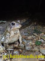 /home//u458753944/public_html/sourcegallery//McKaig Nature Center/2020-09-27/P9270753.JPG